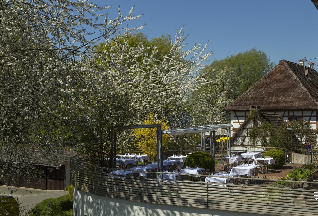 Pilgerhof Und Rebmannshof Hotel Uhldingen-Mühlhofen Екстериор снимка